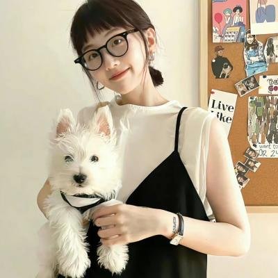 傲骨之战第四季